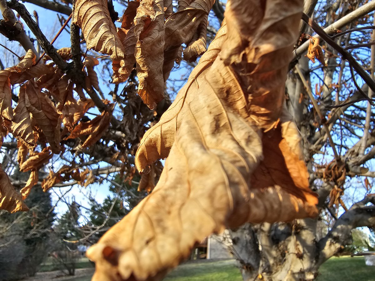 ComedianJamake's tweet photo. No edits! @SamsungMobileUS @Snapdragon #ShotOnSnapdragon #GalaxyS23Ultra #withGalaxy #andrography #photography #phonography #S23ultra https://t.co/XkuqOYlmuD