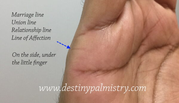 destinypalmist's tweet image. Signs of Divorce from the Palm lines. See my website for all palmistry articles #learning #chirology #palmistry buff.ly/367tKSZ
