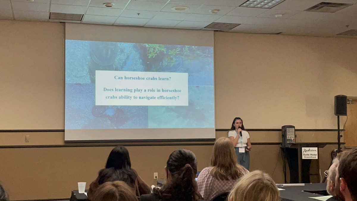 dylan_jammin's tweet photo. So grateful to have been able to present my research, Maze Learning in Horseshoe Crabs, Limulus polyphemus at the 30th Annual @ComparativeCog Conference! https://t.co/aWbS6eXU6A