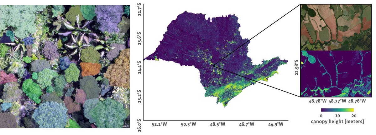 AI and #RemoteSensing is moving fast! 🔥 In ~2 weeks @MetaAI released a model that 'Segment Anything' (SAM) (tree segmentation test by @mpferreira3) and the DINOv2 model that estimates forest height from 0.5m satellite imagery (example research.facebook.com/blog/2023/4/ev…). What is next? 🤯