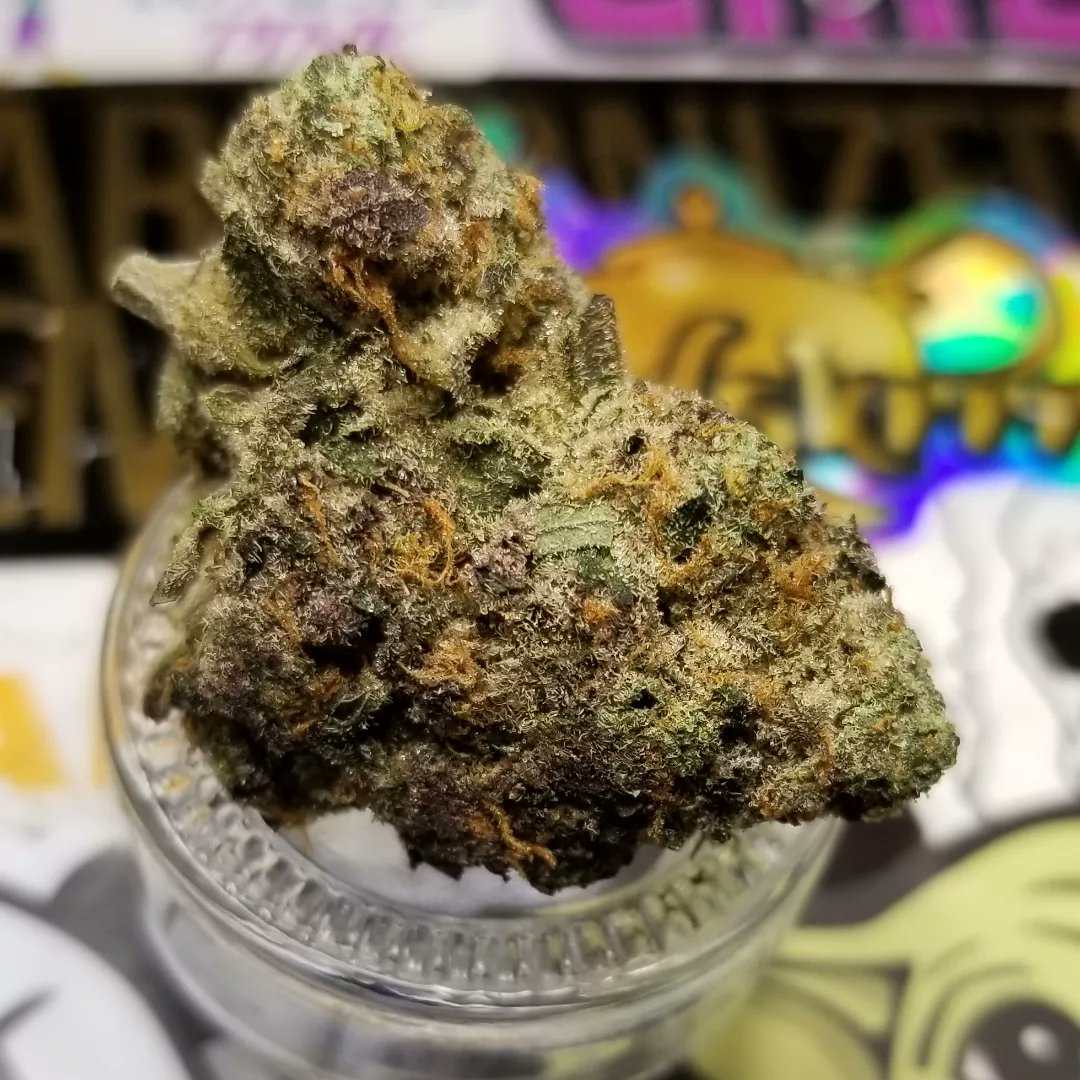 Northern_Wayz's tweet photo. Gary Satan - Official KingsMen Crew

Welcoming terps explode when popping open the jar, delectable burning rubber and petrol hits you instantly with a perfect follow up of kushy black pepper. 

#Mmemberville 
#CannabisCommunity 
#cannabisculture https://t.co/53rq3uU4gk