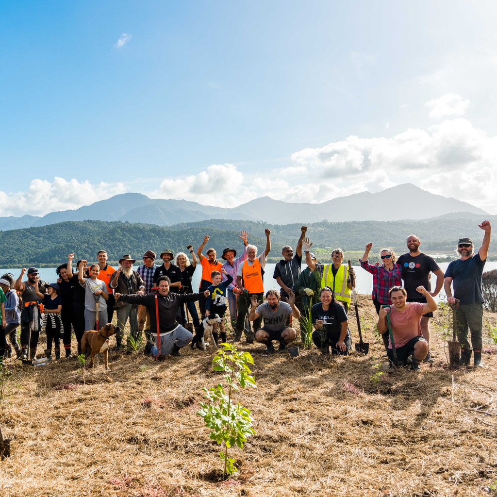 🌳 Trees That Count 🌳 tweet media