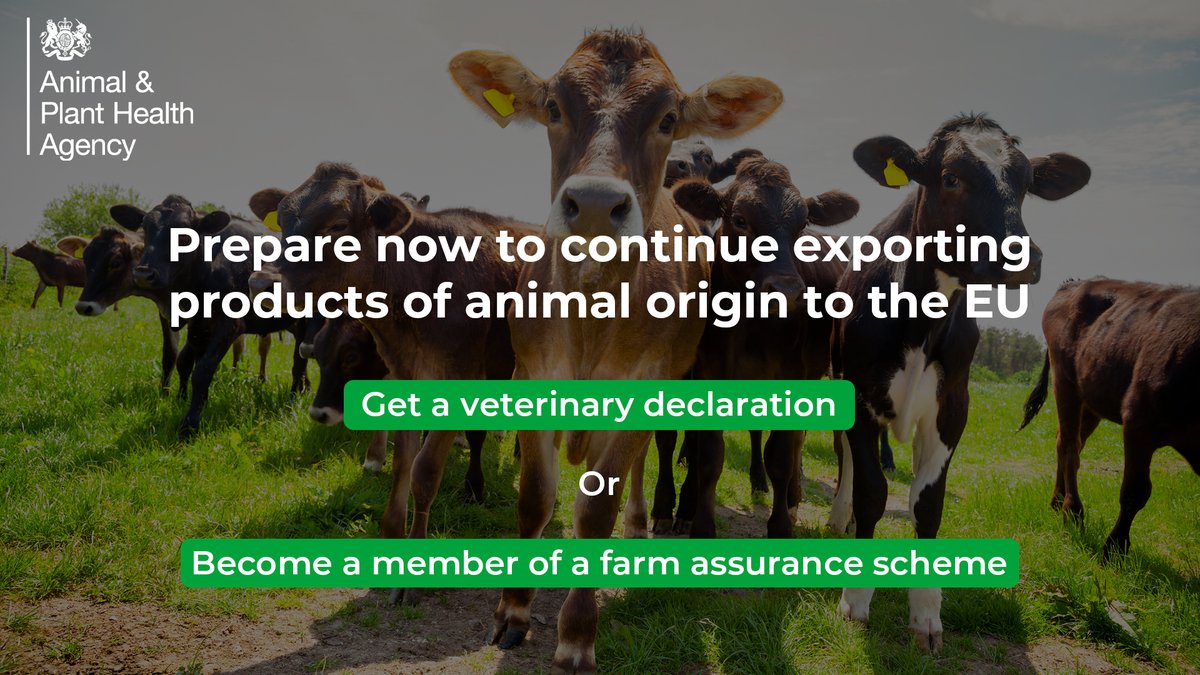 From 13th December 2023, if you export products of animal origin to the EU, your animals will need to have had a visit from a vet within the 12 months prior to their slaughter. For more info. visit: gov.uk/guidance/expor… <a href="/NFUtweets/">National Farmers' Union</a> <a href="/RTfarmers/">Red Tractor Farmers</a> <a href="/natsheep/">National Sheep Association</a> <a href="/natbeefassoc/">The National Beef Association (NBA)</a> <a href="/TheAHDB/">AHDB</a>