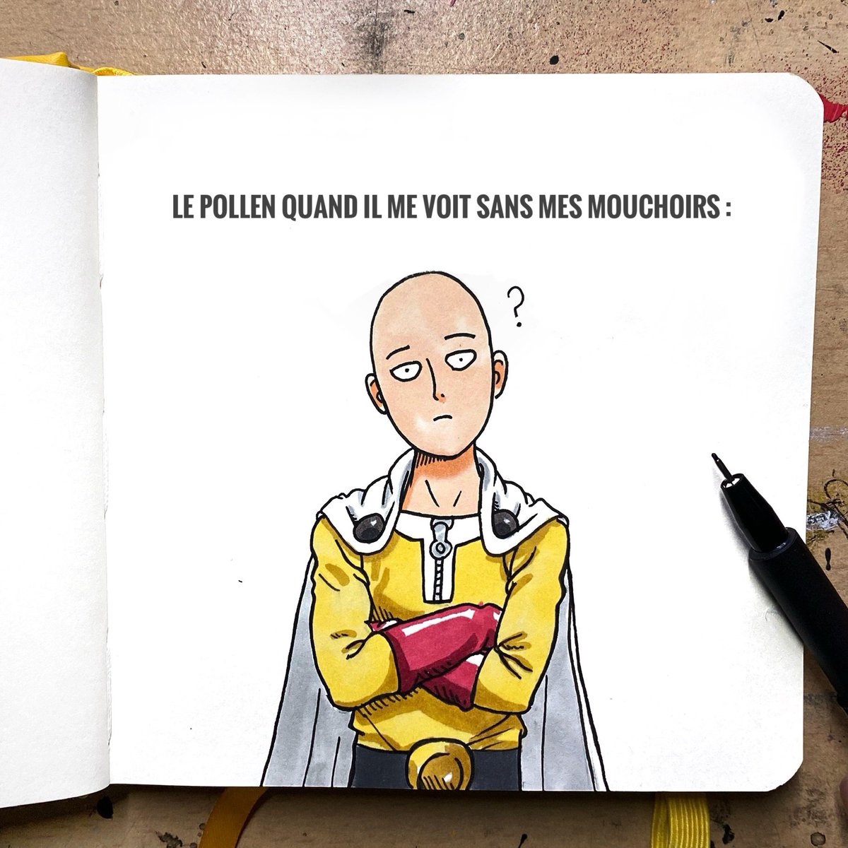 « Ça va t’abuses le pollen c’est pas si fort non plus »