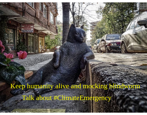 Keep humanity alive and curious blindworm from where you live, please donate for more trees paypal.me/urbietas &amp; ReTweet, #sustainableinvesting, thank you