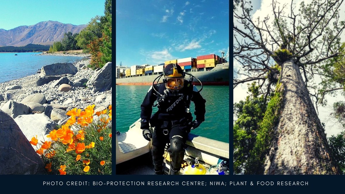 The near final programme for #ICBI2023 is here scienceevents.co.nz/icbi2023/image….  Don't forget to explore the pre-Congress activities as well scienceevents.co.nz/icbi2023/image…  Registration closes very soon. Hope to see you in Christchurch Aotearoa New Zealand in May.