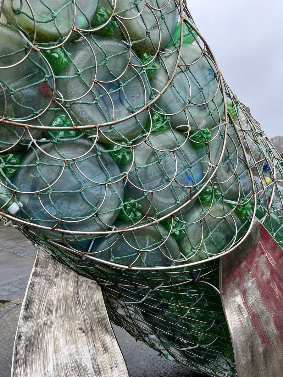 Nicola Strachan tweet media