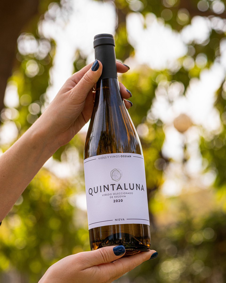 Quintaluna 2020 es el blanco inicial de la bodega Ossian elaborado con la variedad verdejo, cultivada en diversos parajes al norte de la provincia de Segovia. Un blanco elegante que destaca por su magnífico equilibrio entre untuosidad y frescura. #vinodelasemana