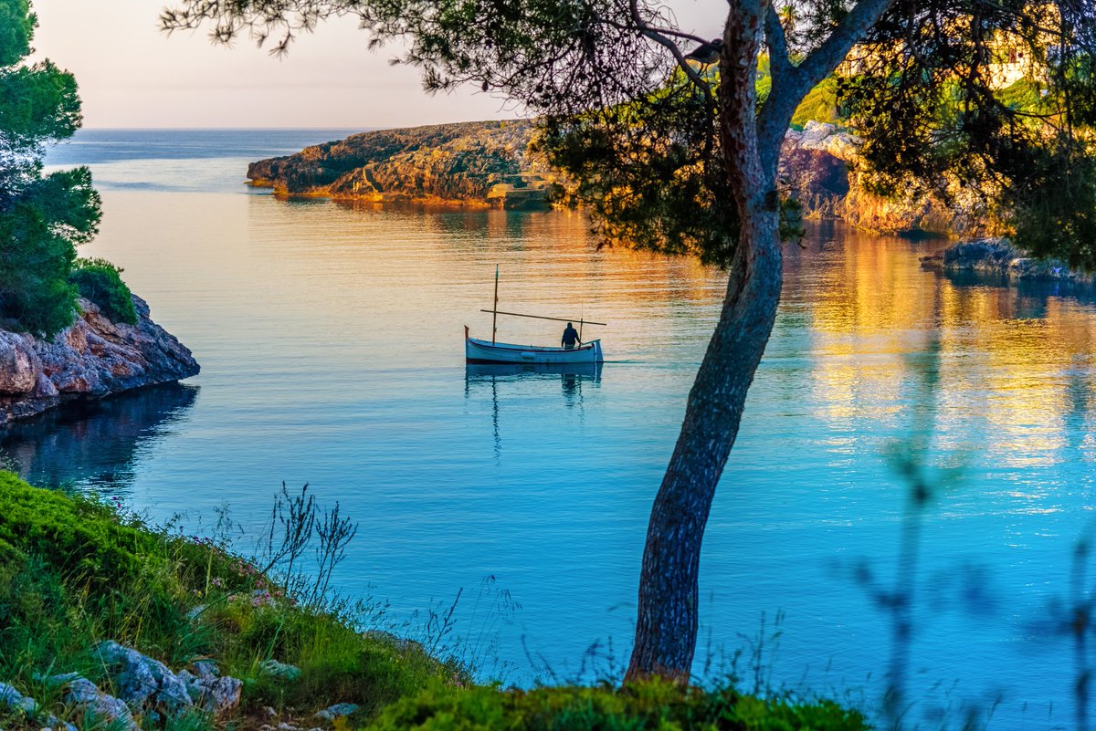 UN Tourism tweet media