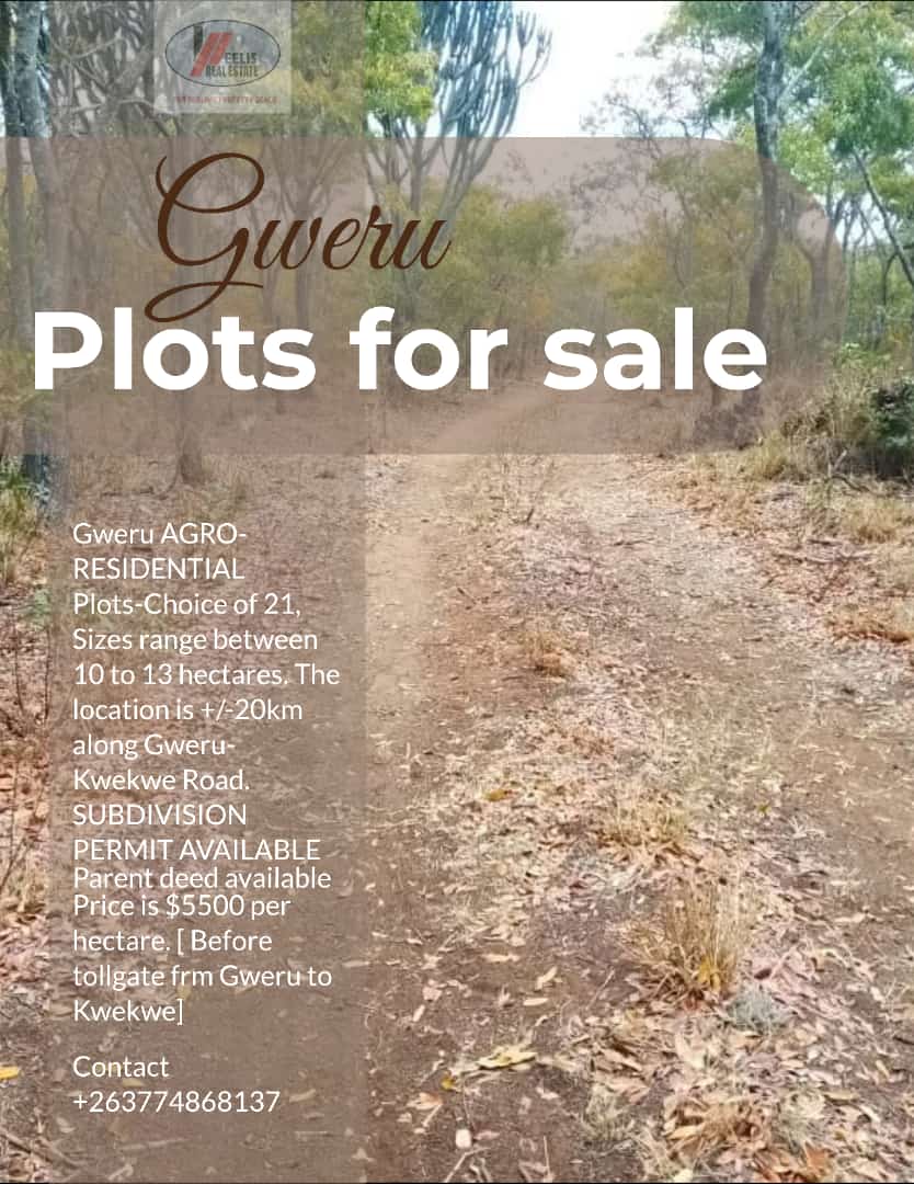 ClaytonChivuhwa's tweet image. Gweru plots for sale
Contact +263774868137