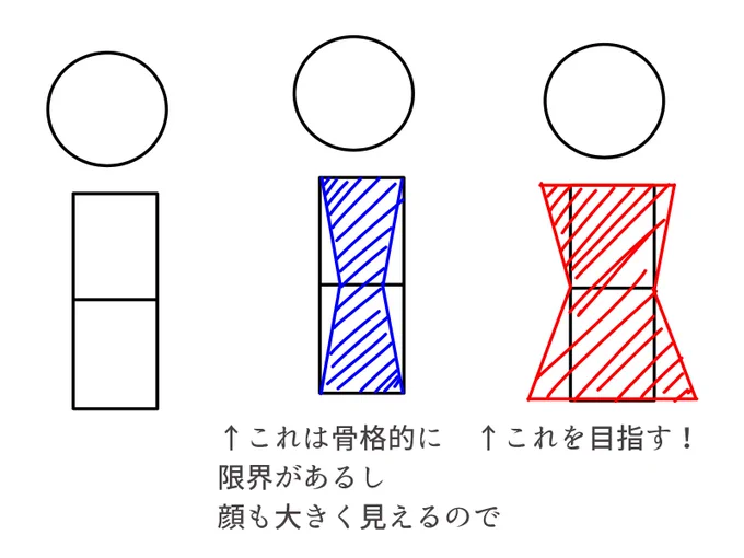 これが筋肉を育てて綺麗な体を作るってことだと思ってます
青を意識してとにかく細く!を目指すと「萎んだ」「るい痩」という健康に良くない状態だと思ってます
同じ骨格でも、肩とお尻を作ることでウエストも細く見える! 