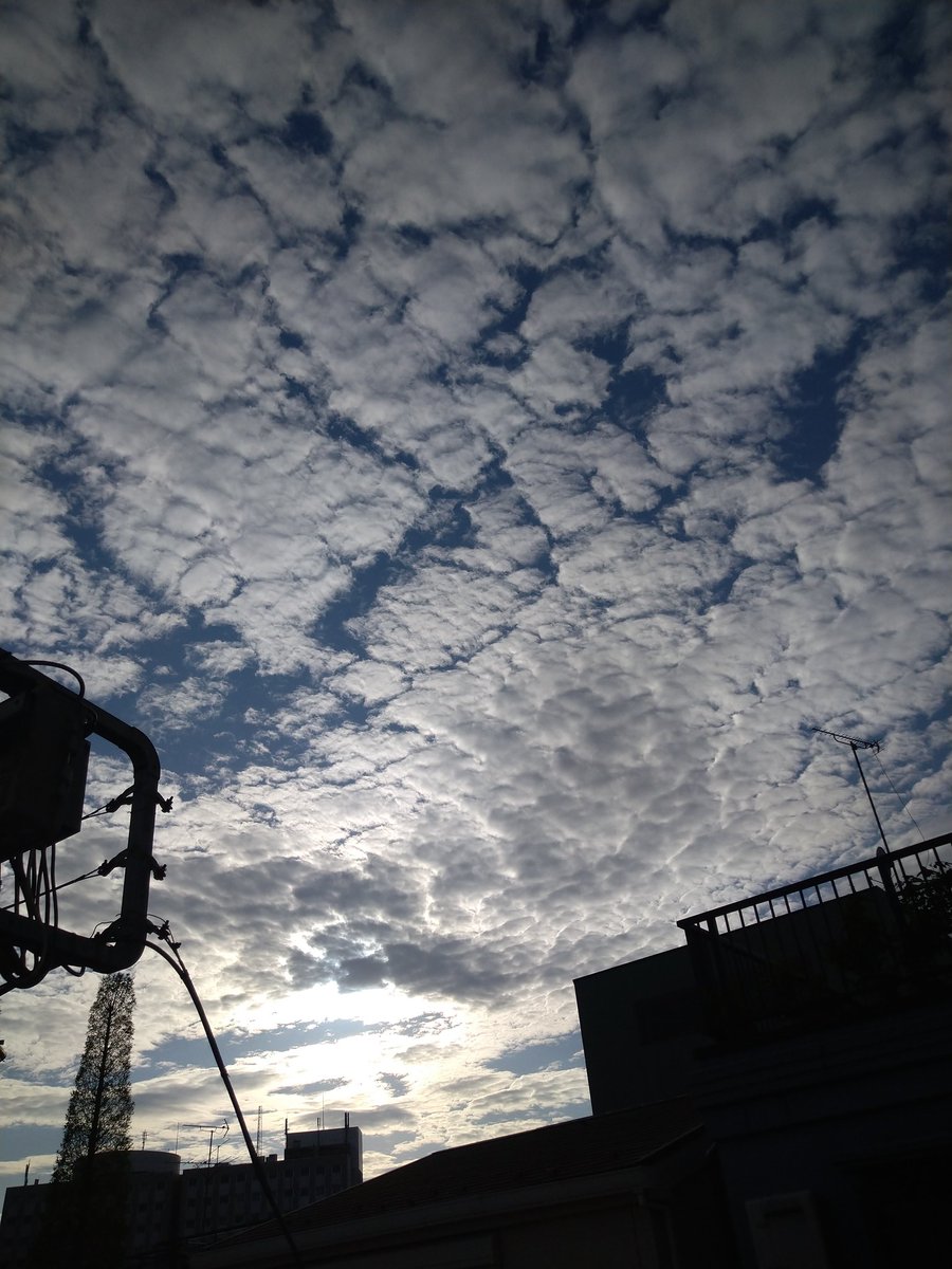 ほんだけんじ tweet media