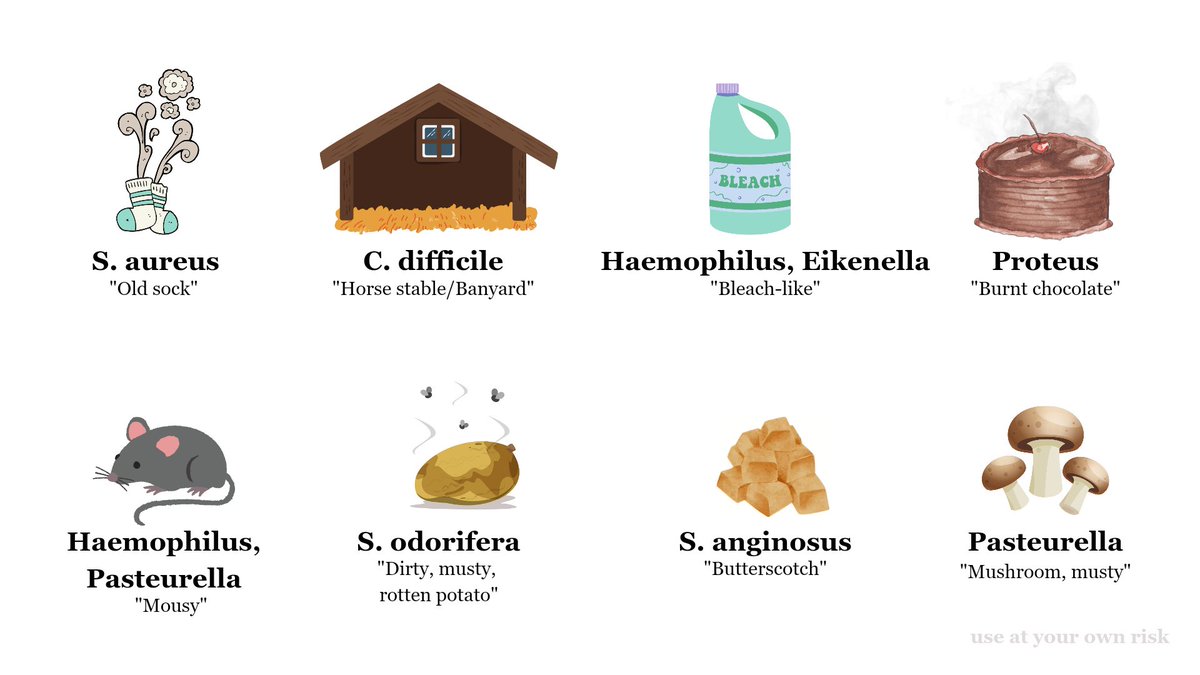 bsempty's tweet image. Odor 🏃‍♂️💨