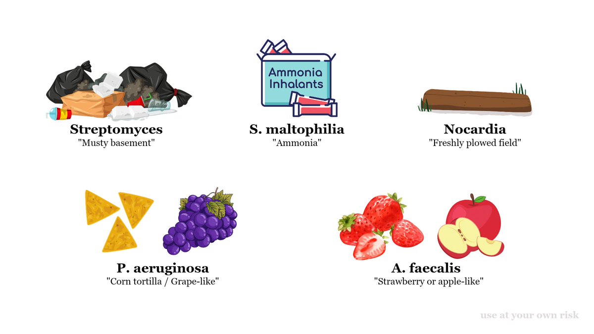 bsempty's tweet image. Odor 🏃‍♂️💨