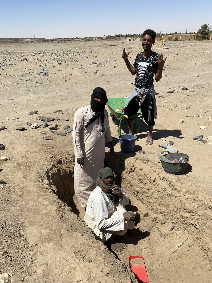 diversenile's tweet photo. Some working pics from our excavation in Kerma cemetery GiE 003 featuring some of our local workmen and Tasabeh Obaid Hassan, student of archaeology, Al-Neelain University & 2023 trainee of DiverseNile #Ginis #Sudan #ThursdayThrowback #Archaeology https://t.co/hh4kzQfCDO