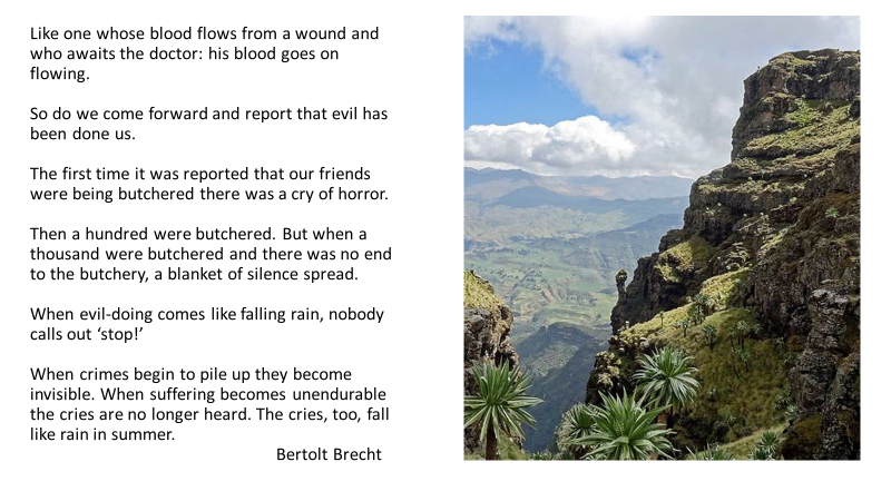 WassyTesfa's tweet photo. ..#AmharaUnderAttack
#GurageUnderAttack
#AfarUnderAttack
"When evil-doing comes like rain, nobody calls out stop."
Victims further victimized, killed, imprisoned displaced. Perpetrators #TPLF and #OLF given clean slates & weaponized by the Abiy gov Stand up for the victims! https://t.co/kAad9BVSZ0