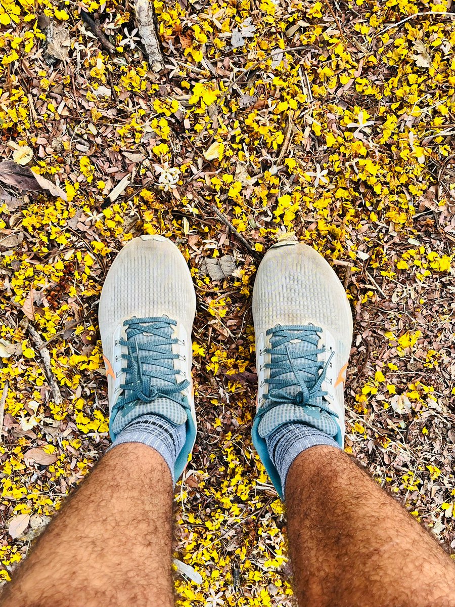 ameya91's tweet photo. Slow easy run 🏃🏻‍♂️🤙🏼
7km run + 2km walk to sum up the session.

#chasingTheSun #runnersOfTwitter #runchat #runnect #admireYourself #fitIndiaMovement #z2Run https://t.co/plWpHH4uwk