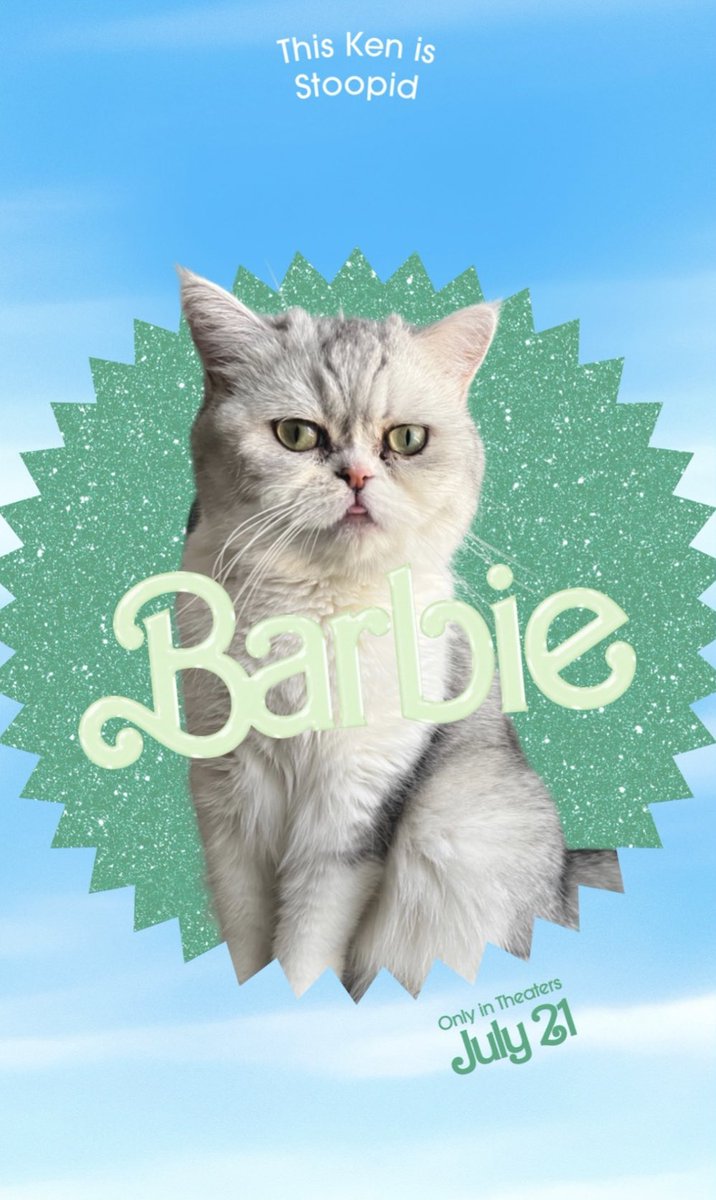 MadelynDawn_'s tweet photo. Cat https://t.co/hBltbGW7SI