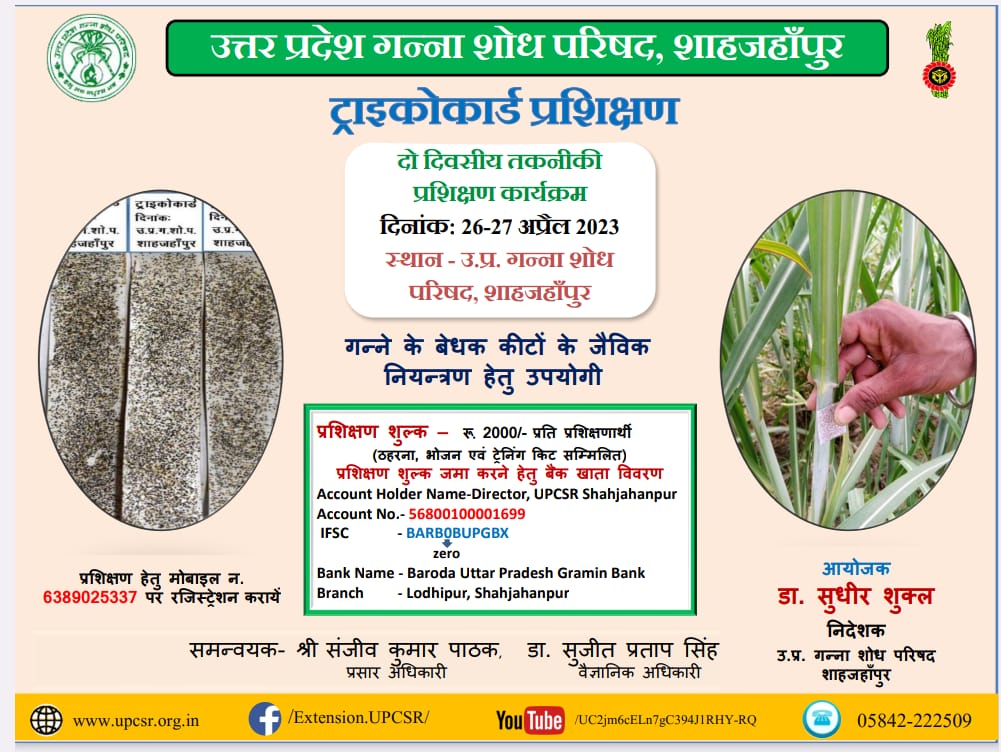 DCO BIJNOR tweet media