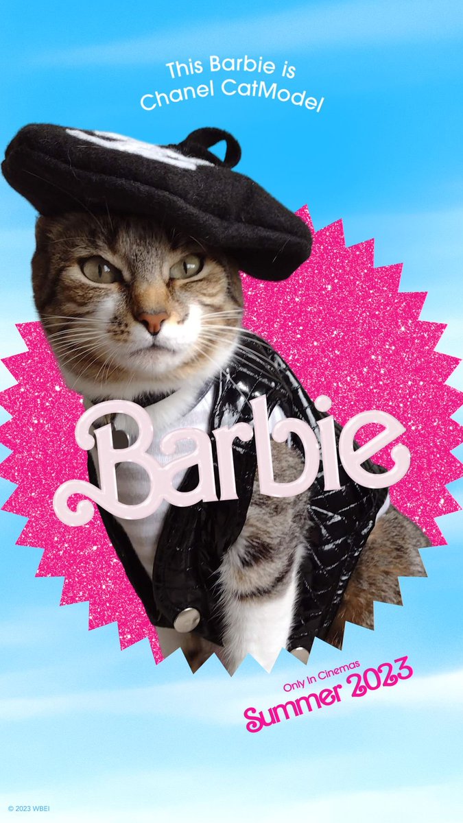 Li_the_cat's tweet photo. Chanel N°1 
#BarbieTheMovie #Barbie #lithecat #catsofinstagram #CHANEL @catsofinstagram @RyanGosling https://t.co/yuGxqOqTDG
