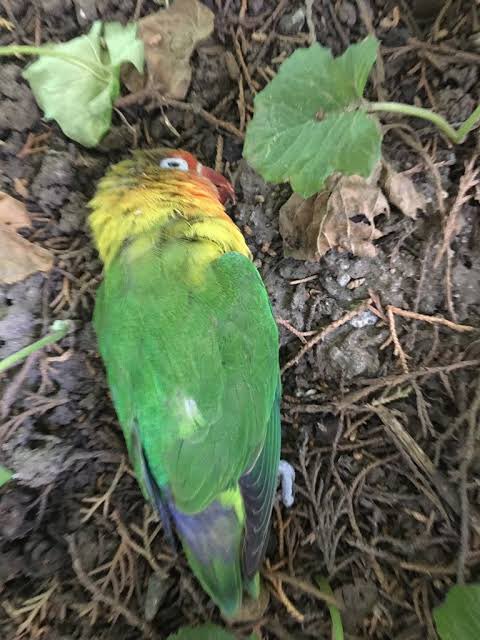 Buen día… para allá vamos todos.