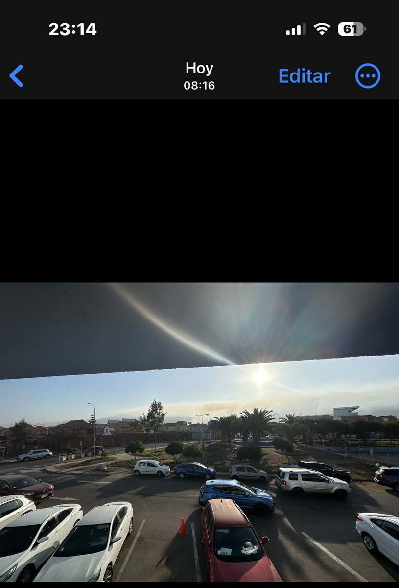 carocatalinalu's tweet photo. @jO___cE @Egon_23 Muy molesta ya que estos  gases tóxicos afectan directamente a las personas con alergias respiratorias , provocando crisis alérgicas y la mutual de seguridad no reconoce este diagnóstico como laboral, siendo que ocurrió en el trabajo  por los gases tóxicos en el sector norte 😠 https://t.co/ZzisgdWk2h