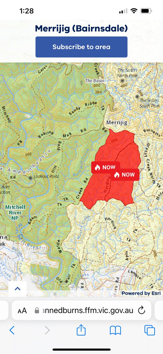 #GunaiKurnaiCountry: FFMV have just now lit up over 1000Ha Special Protection Zones set aside for Greater Gliders and Yellow BGs. Call Min Ingrid Stitt 03 93631644. Leave message.  ingrid.stitt@parliament.vic.gov.au  Why don’t #FFMV do pre or post-burn fauna or flora surveys?