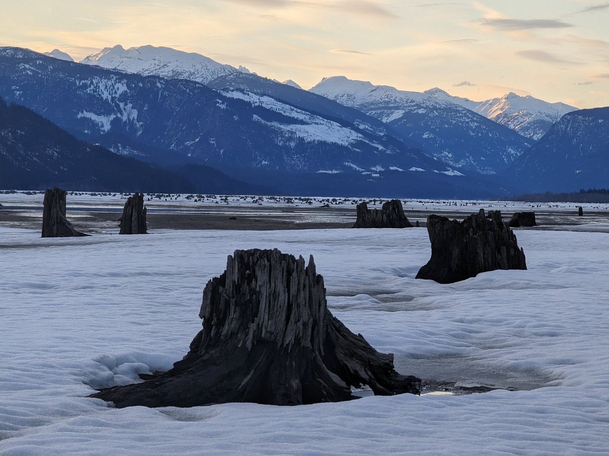 MuketyMuk's tweet photo. Moonrise over the #Selkirks at #Revelstoke Ski area +2C calm clear except cirrus and wave clouds. Upper Arrow Reservoir flats still good for skiing but melting fast. #Stumps. Flocks of Geese. Lots of deer. #Greenslide on Mt Cartier. 
 #BCStorm https://t.co/MQeCuoIxHe