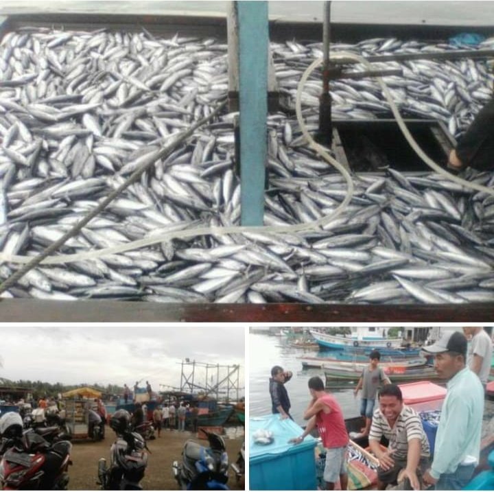 JuniarisJ's tweet photo. Selasa (28/02), Jumaris, Luhkan Kab Simeulue, di KUB Gunung Sibao DS Kuala Makmur, melaporkan tangkapan ikan, Alat Tangkap Pancing Ulur, bulan Februari 2023, sebanyak 1020 kg, harga jual 25000/kg. #GiatluhkanSatminkalMedan #Simeulue #Tangkap https://t.co/H1R5vQm1Pp