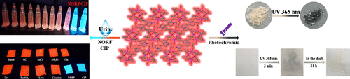bhkenlo's tweet photo. Three-Dimensional Viologen-Based Lanthanide–Organic Frameworks: Photochromism and Fluorescence Detection of Quinolone Antibiotics | Inorganic Chemistry https://t.co/JCxmFeinin Zheng and co-workers @InorgChem #europium #terbium #viologen #LOFs #quinolone #NORF #CIP https://t.co/x7m5hacbRm