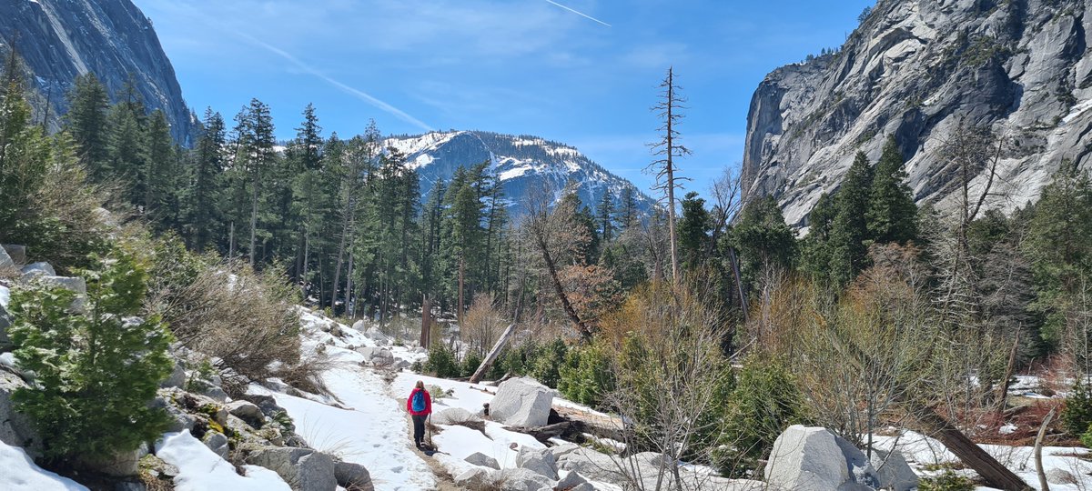 PolemicTMM's tweet photo. Had the most wonderful day hiking in snow and forest, alongside crystal clear streams, under cloudless skies and awe inspiring cliffs.
The weather gods have been wonderfully benevolent.
#Yosemite
#NotUK https://t.co/6ENhnvYNWu