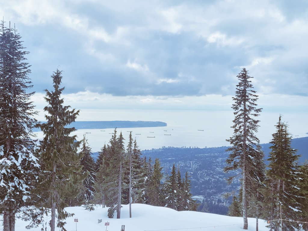 Chase Irwin tweet media