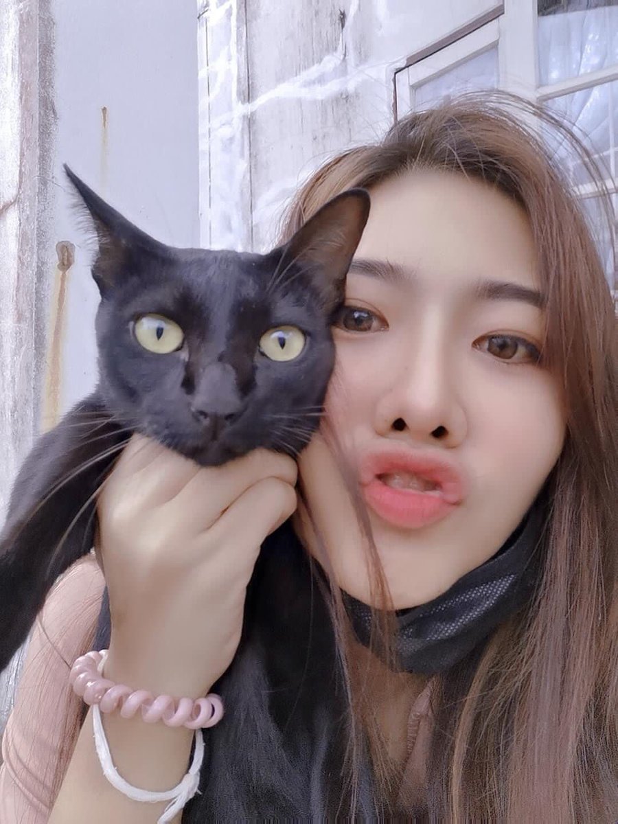 PVixaykoson's tweet photo. คิดถึงแล้วน่ะ เจ้าดำของมี๊ #เฉโป #ทาสแมว https://t.co/FqWzP2H3I8
