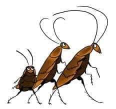 zimcousin's tweet photo. Cockroach Theory 

The cockroach theory for self-development

At a restaurant, a cockroach suddenly flew from somewhere and sat on a lady.

She started screaming out of fear.

With a panic-stricken face and trembling voice, she started jumping, with both her hands https://t.co/dgLyb30Ta0