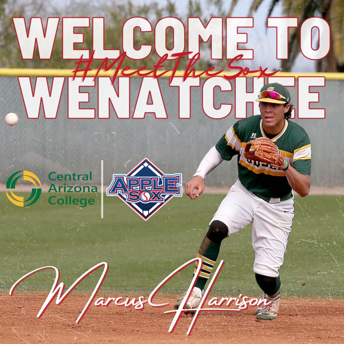 Wenatchee AppleSox (@applesox) on Twitter photo We've got another Vaquero to add to the team this week. Welcome to the Wenatchee to <a href="/Harrison3Marcus/">MarcusHarrison3</a>! #MeetTheSox
Harrison has a .269 average with three home runs and 25 RBI in 36 games. His home run and RBI totals are tied for the most on <a href="/CAC_BaseballDB9/">Central AZ Baseball</a> We've got another Vaquero to add to the team this week. Welcome to the Wenatchee to <a href="/Harrison3Marcus/">MarcusHarrison3</a>! #MeetTheSox
Harrison has a .269 average with three home runs and 25 RBI in 36 games. His home run and RBI totals are tied for the most on <a href="/CAC_BaseballDB9/">Central AZ Baseball</a>