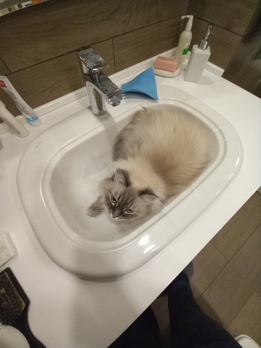 Still sleep?) Wake up, NFT fam, gm!🔆