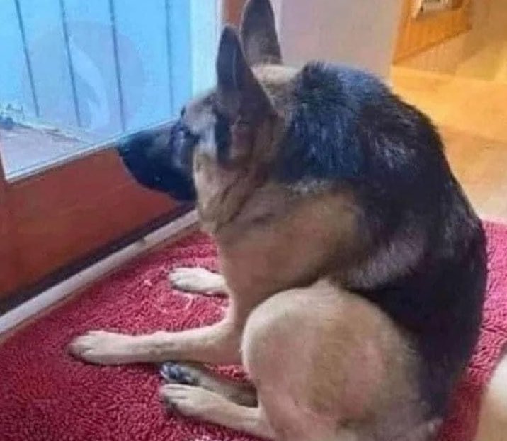 me: why tf does my back hurt?

also me: