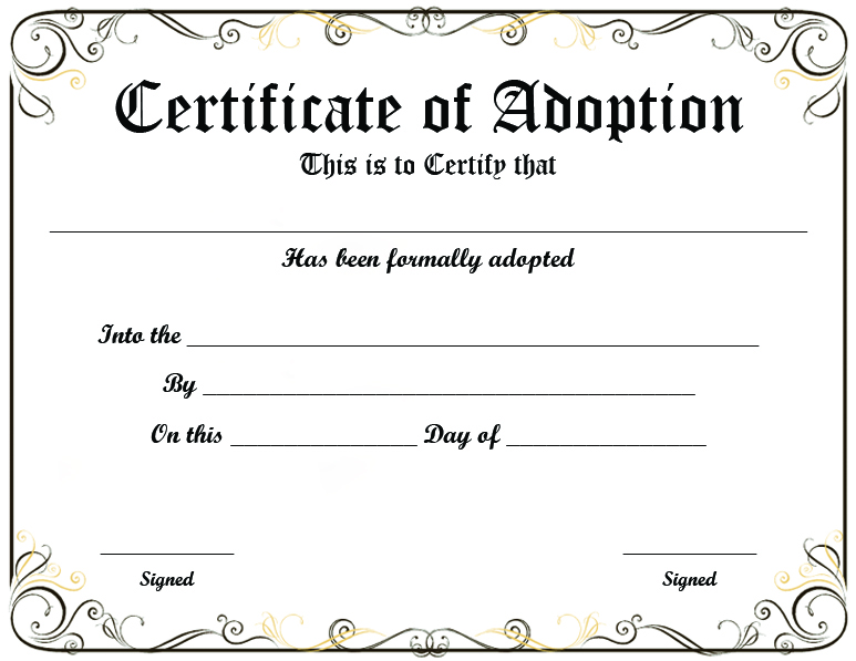 AnythingBattle's tweet photo. Superfeline II just legally adopted Lion Cat! https://t.co/3AA5o1N5QW