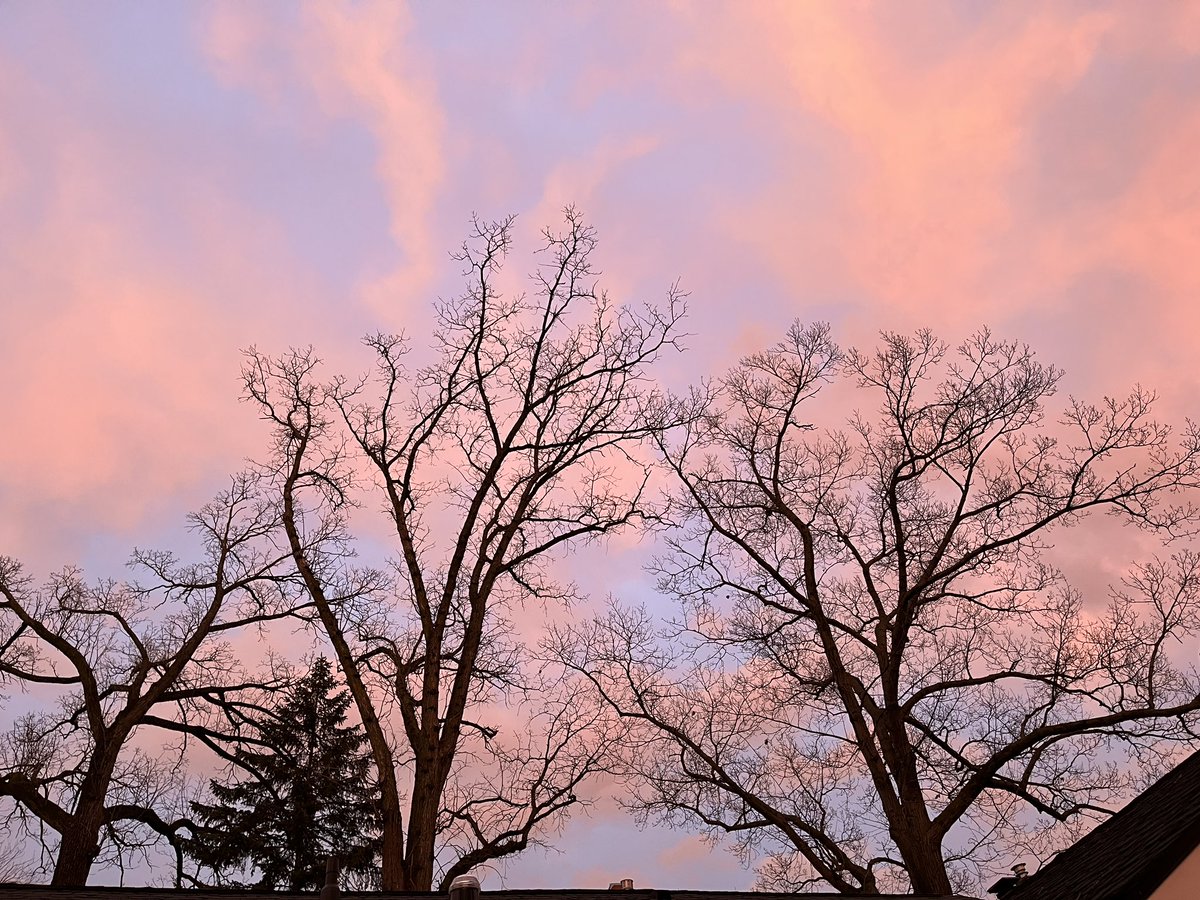 DAnnStelly's tweet photo. The beauty of the trees pre-leaves against a twilight sky https://t.co/57PGIxIpAV