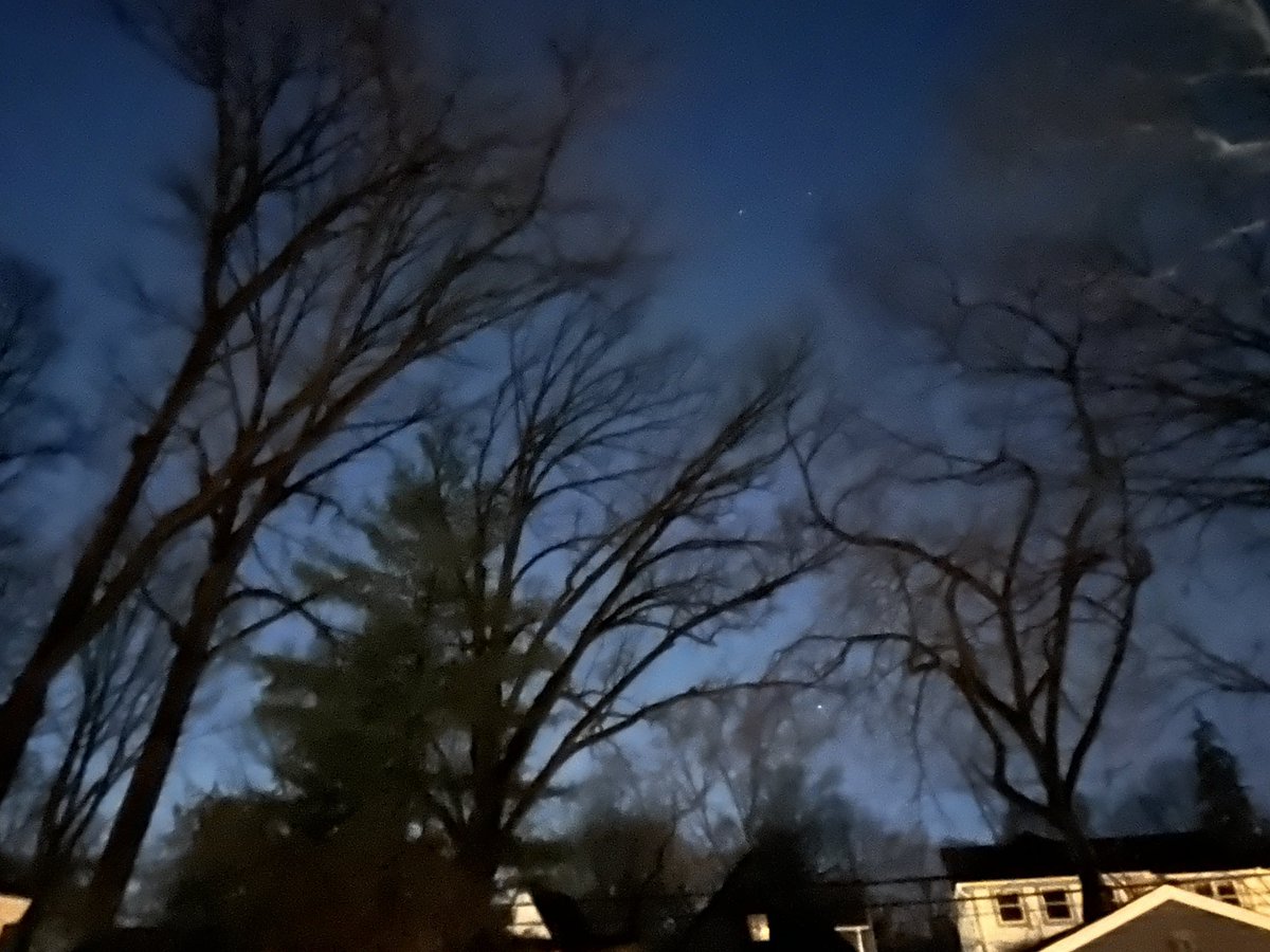 DAnnStelly's tweet photo. The beauty of the trees pre-leaves against a twilight sky https://t.co/57PGIxIpAV