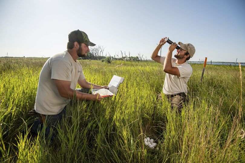 Today is #MajorMonday for the Department of NRM. We are featuring Ecology & Environmental Science. 🌎🦬 #SDStateNRM

🔹To learn more about this major, visit: sdstate.edu/programs/under…