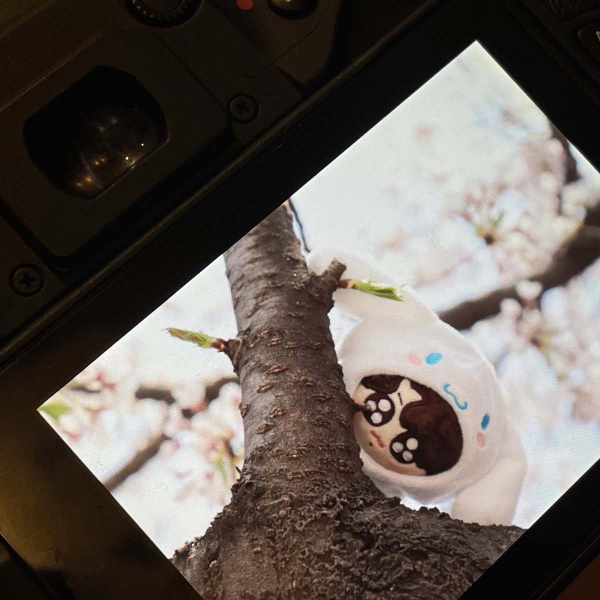 MOKKU_kookmom's tweet photo. 230403 벚꽃놀이 preview
🌸🌸
#꾹뚜기 #깍뚜기소년단 #jungkook https://t.co/rv6BstgVmD