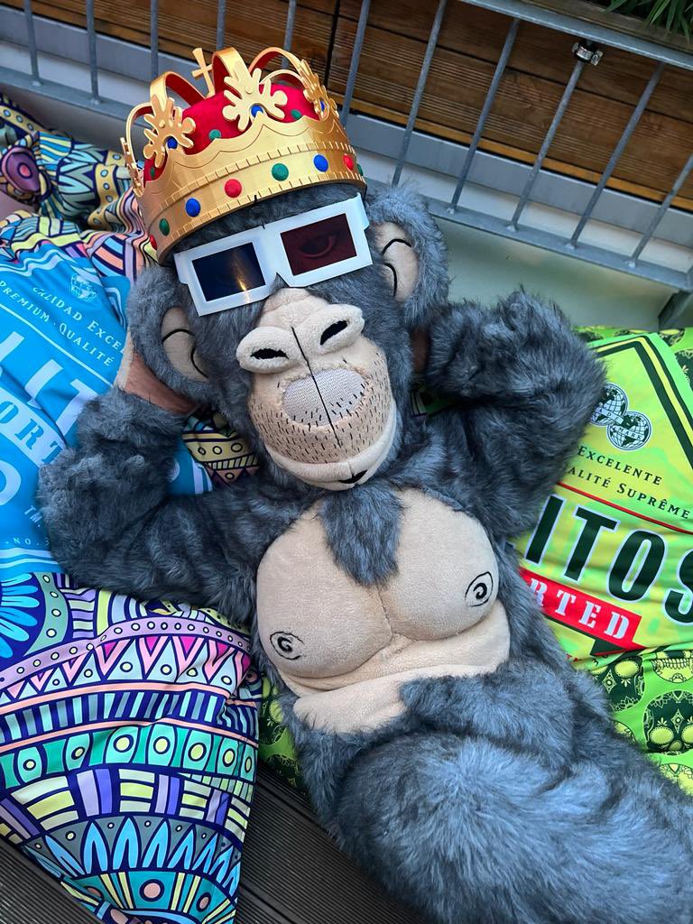 cryptorenner.9dcc.eth🎟 I Ape_Inn tweet media