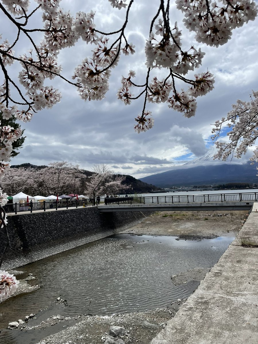 degagere's tweet photo. 河口湖桜まつりクラフト市に出展中
4月16日まで。
湖畔は風が強い… https://t.co/L409SJRQMj