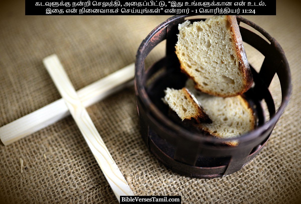 VerseofthedayB's tweet photo. https://t.co/b8uVJC3RQk - 1-corinthians-11:24 in Catholic Tamil - https://t.co/EfCRZU7I0Q https://t.co/Y0nYuBH4dH 
#bible #tamil #bibleverses #bibleverse #verses #biblequotes #biblejournaling #bibleverseoftheday #holybible #biblequote #tamilbibleverse #bibleversedaily https://t.co/v2lEa9tyhl
