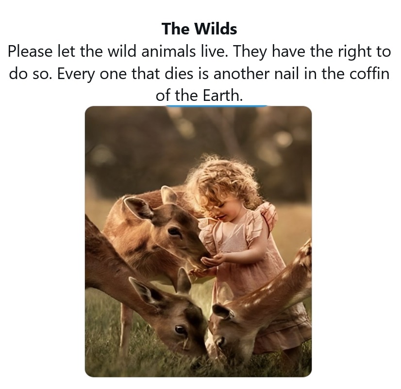 Punky Zoolander tweet media