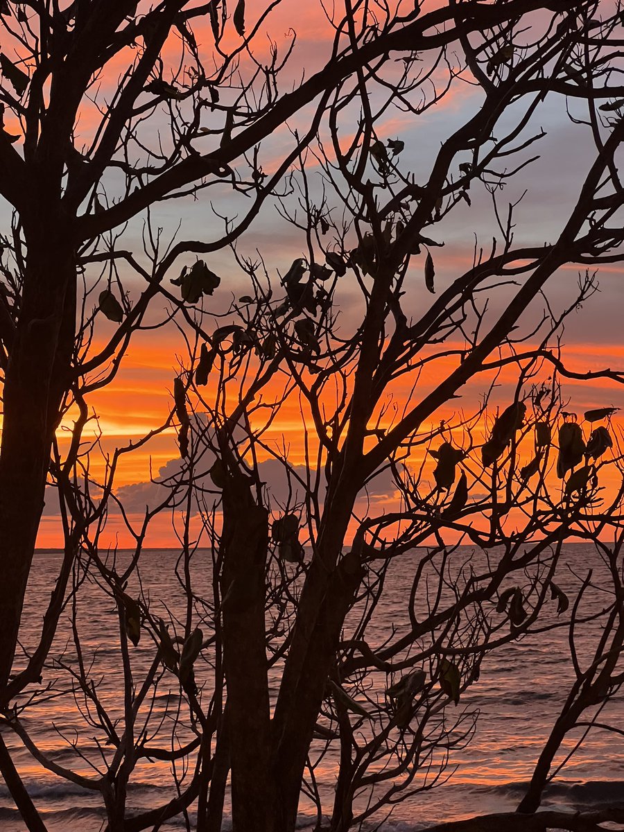 iamneilstrong's tweet photo. What a beautiful sunset to end the day 🌅#straya #DarwinNT https://t.co/Ioh6tcq4vw