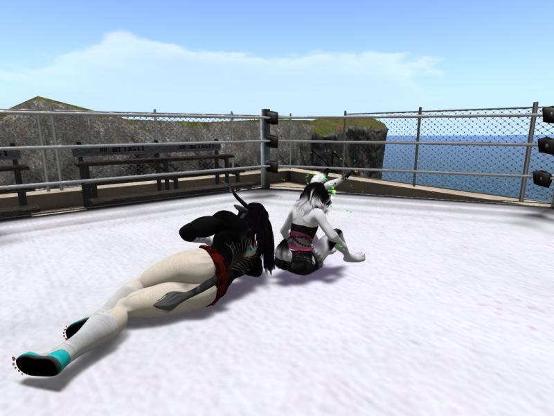 <a href="/BAP_Academy/">Build-A-Pro Academy</a>  A good day of training all jokes aside. I hope to meet Lucky in the ring for real one day soon. She is a fierce fighter!
