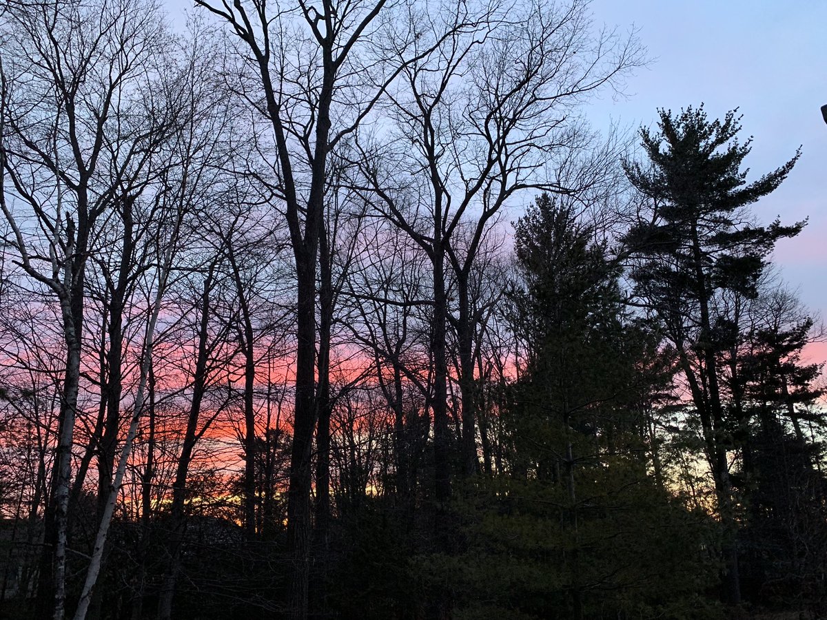 TenarowsTee's tweet photo. Blessed! 😎@WasagaTourism @SGeorgianBay @ExploreON https://t.co/KqaIiJgStT