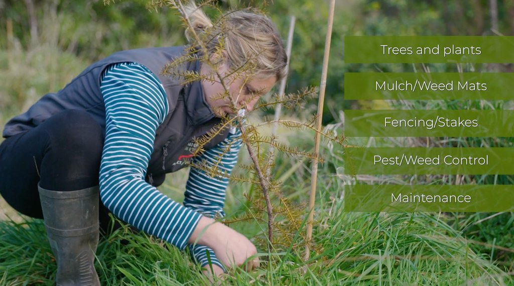 🌳 Trees That Count 🌳 tweet media